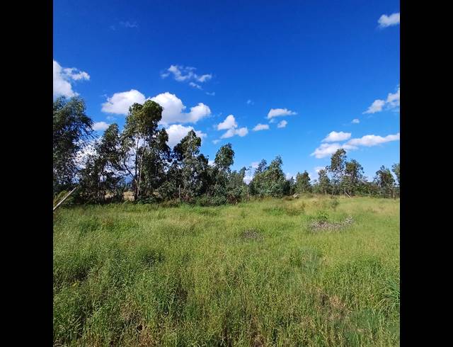 1,122M² VACANT LAND FOR SALE IN KOOKRUS